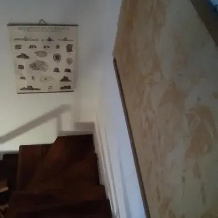 Affitta Monte Grappa 3*