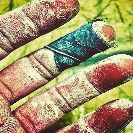 Affitta Monte Grappa ゲストハウス テンピオ・パウザーニア