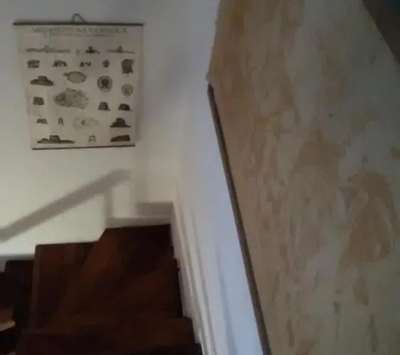 Affitta Monte Grappa 3*