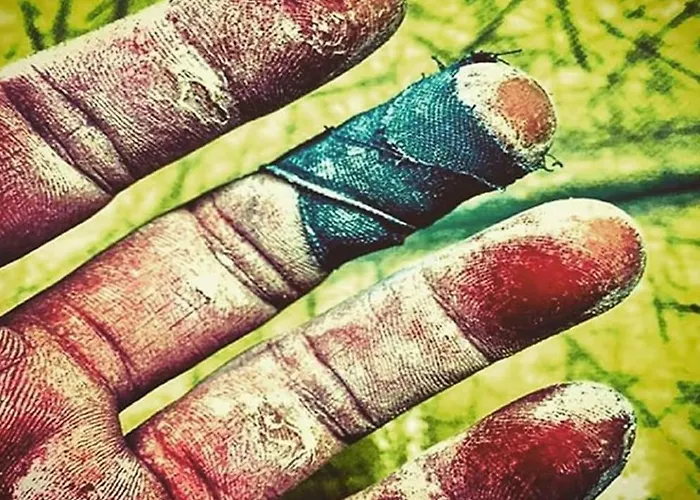 Affitta Monte Grappa Konukevi Tempio Pausania